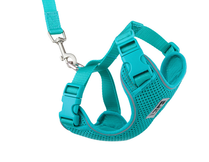 Load image into Gallery viewer, RC Adventure Kitty Harness Teal
