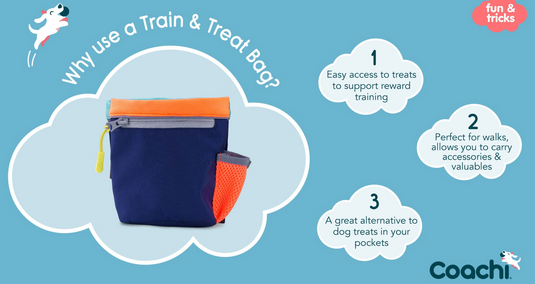 Tricks Train & Treat Bag Navy & Coral