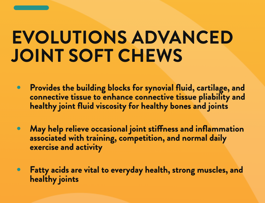 NaturVet Evolutions Advanced Joint Support Soft Chews