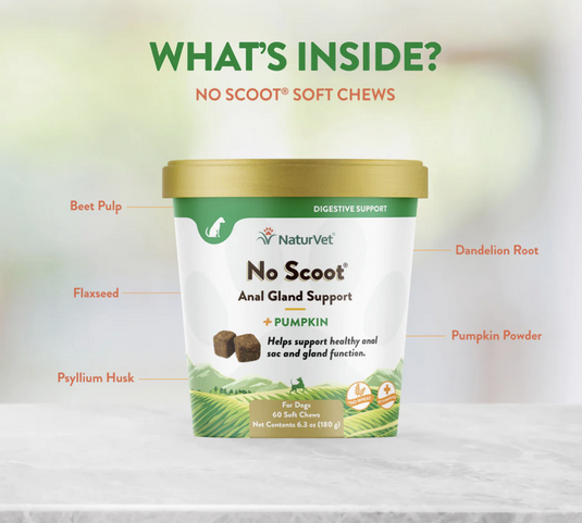 NaturVet No Scoot 60 Soft Chews