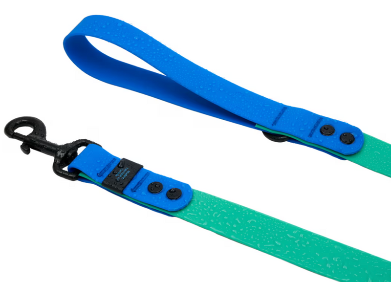 Load image into Gallery viewer, RC Pets Waterproof Leash 5&#39; x 1&#39;&#39;
