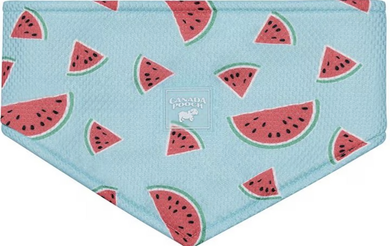 Load image into Gallery viewer, Canada Pooch Cooling Bandana Watermelon
