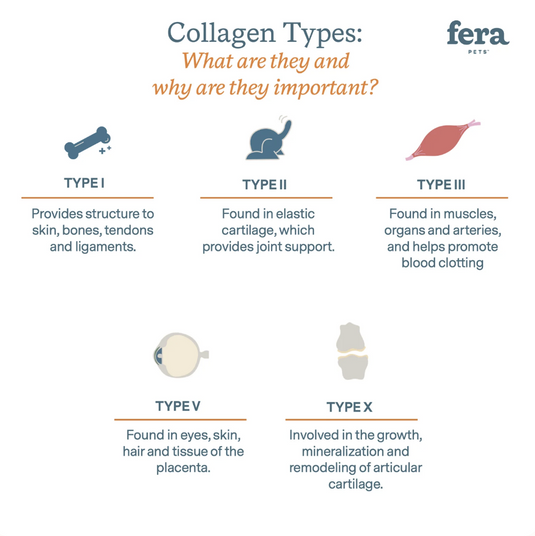 Fera Collagen Plus for Dogs and Cats