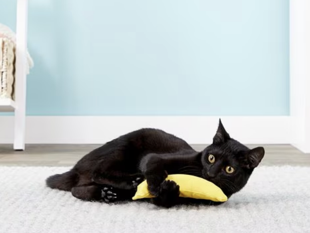 Load image into Gallery viewer, Yeowww! Catnip Banana
