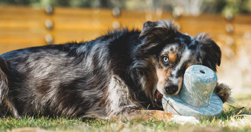 Load image into Gallery viewer, Ruffwear Porcini Toy
