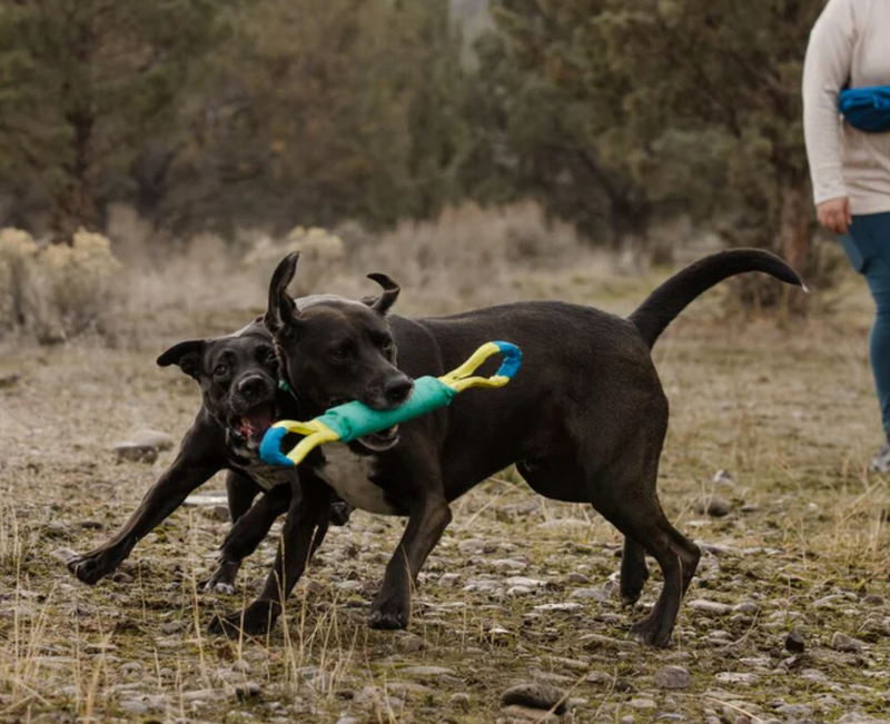 Load image into Gallery viewer, Ruffwear Pacific Loop Toy
