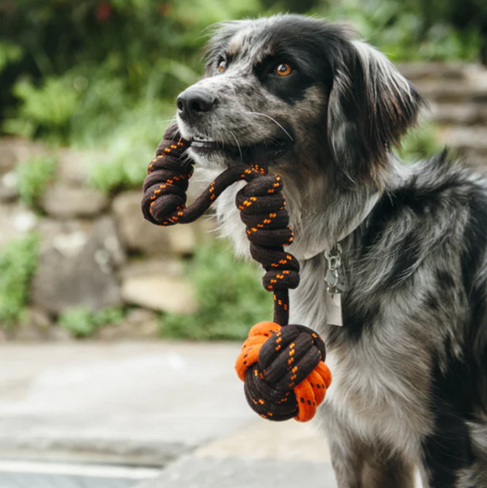 PLAY Ball Rope Toy