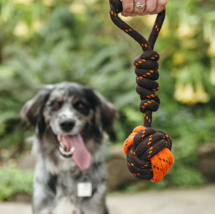 Load image into Gallery viewer, PLAY Ball Rope Toy
