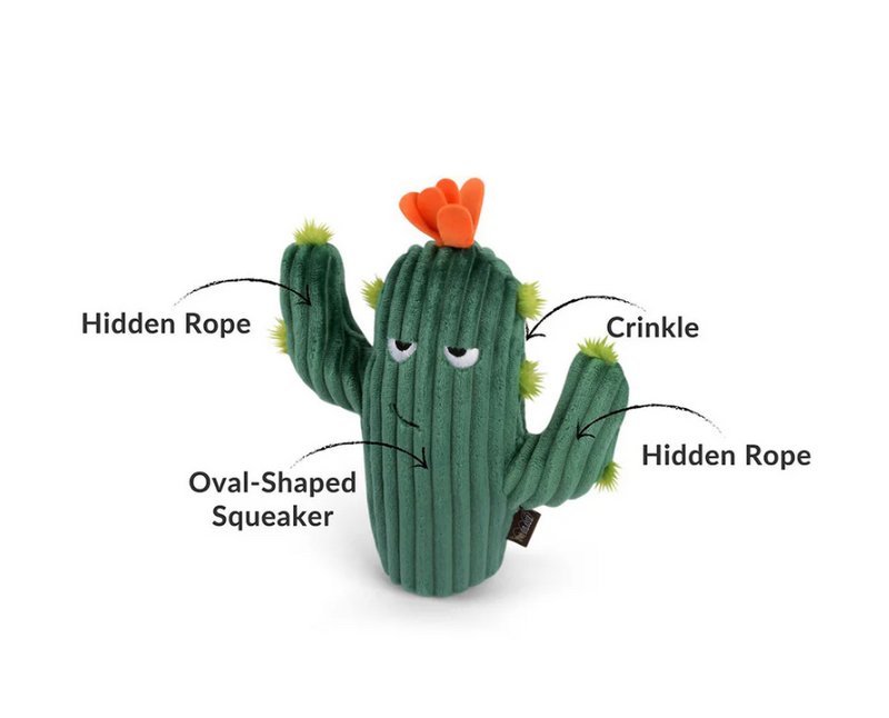 Load image into Gallery viewer, PLAY Blooming Buddies Prickly Pup Cactus
