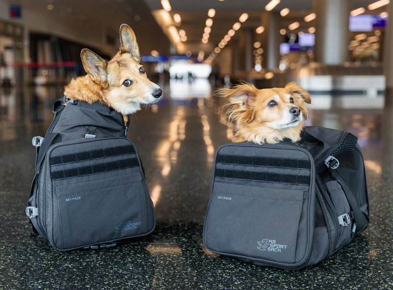 Load image into Gallery viewer, K9 Sport Sack Sky Pack Convertible Backpack &amp; Pet Carrier - Discover Dogs
