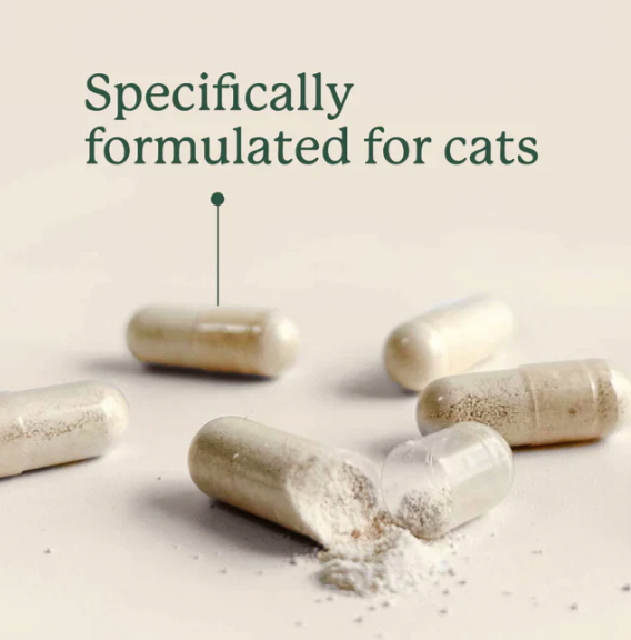 Load image into Gallery viewer, Animal Biome Gut Restore FMT for Cats 30ct
