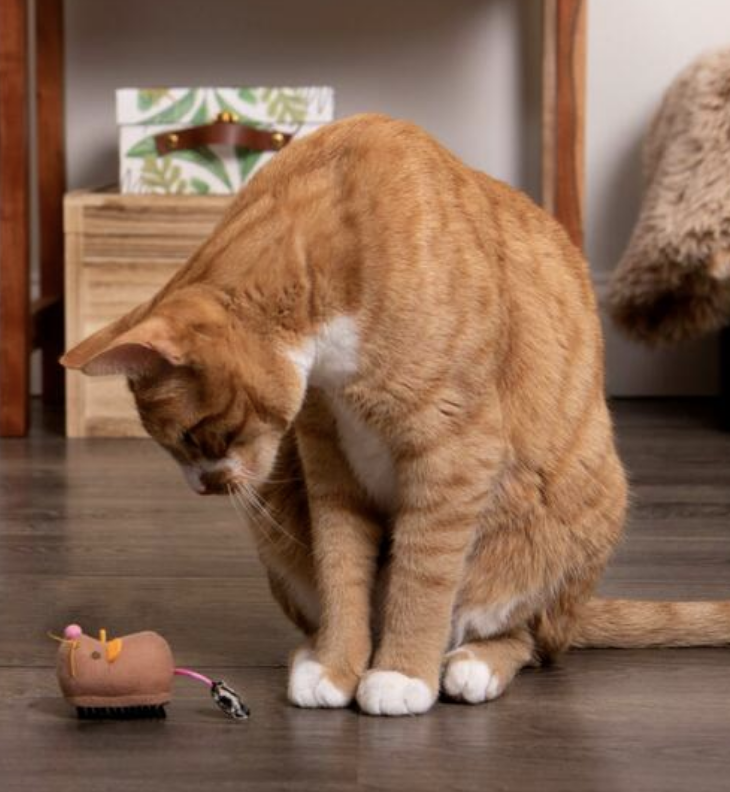 Load image into Gallery viewer, Instincts Motion Battery Powered Mouse Toy
