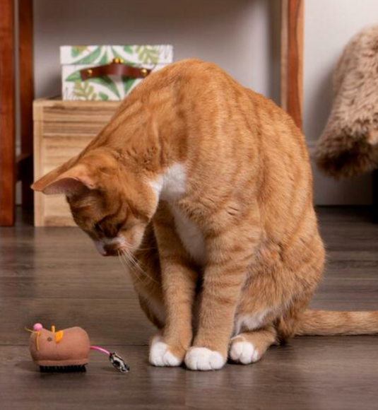 Instincts Motion Battery Powered Mouse Toy