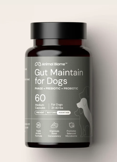 Load image into Gallery viewer, Animal Biome Gut Maintain for Dogs 60ct
