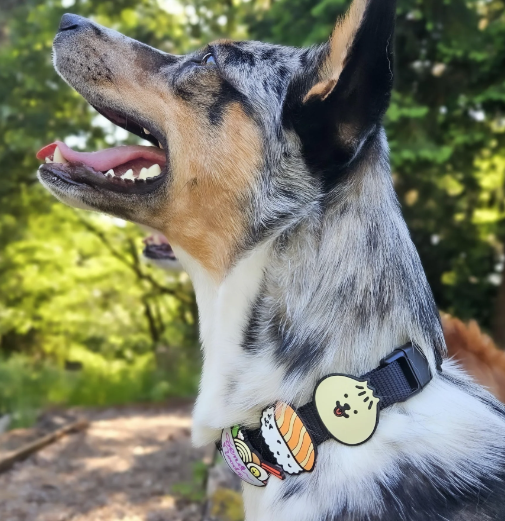 Jiby Dog Charm Bao