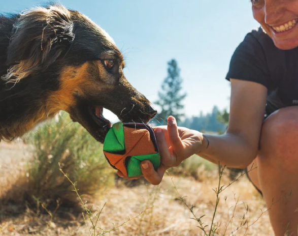 Load image into Gallery viewer, Ruffwear Webbing Remix Dog Ball Toy

