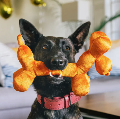Load image into Gallery viewer, PLAY Party Animal Balloon Dog
