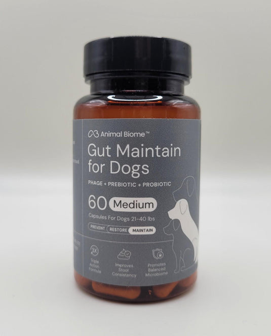Animal Biome Gut Maintain for Dogs 60ct