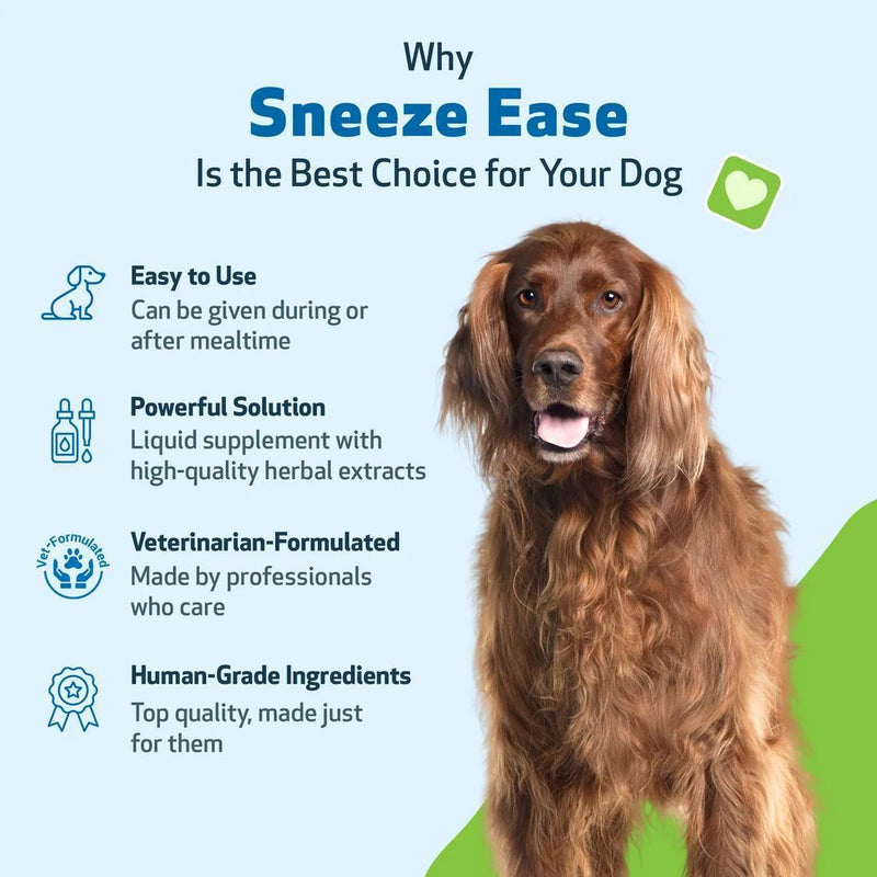 Load image into Gallery viewer, Pet Wellbeing Nettle Eyebright Gold (Sneeze Ease)
