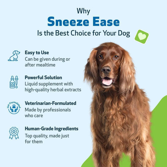 Pet Wellbeing Nettle Eyebright Gold (Sneeze Ease)