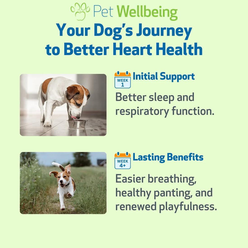Load image into Gallery viewer, Pet Wellbeing Young At Heart
