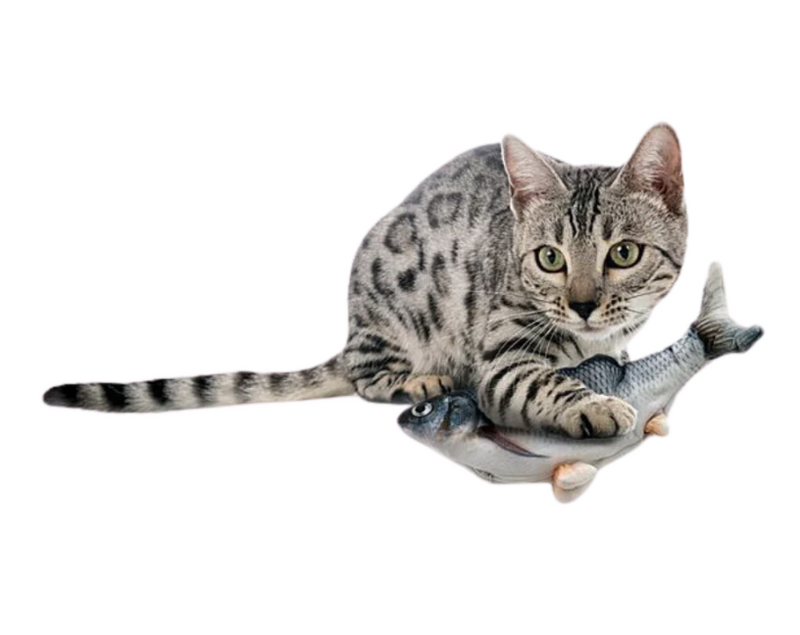 Load image into Gallery viewer, Royal Pet Floppy Fish Interactive Cat Toy
