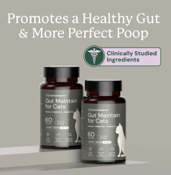 Load image into Gallery viewer, Animal Biome Gut Maintain for Cats 60ct
