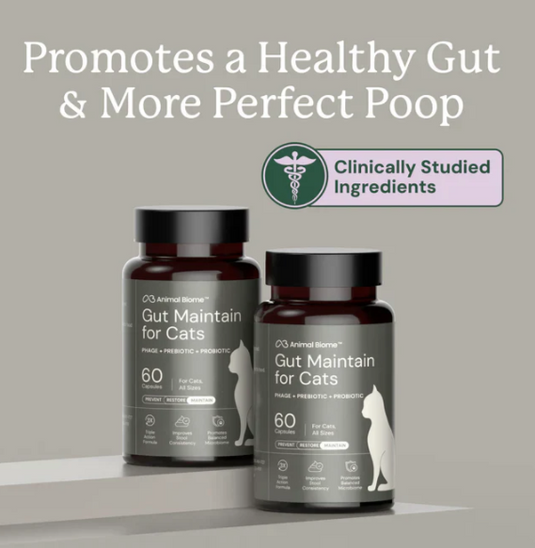 Animal Biome Gut Maintain for Cats 60ct