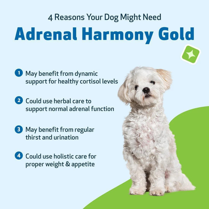 Load image into Gallery viewer, Pet Wellbeing Adrenal Harmony Gold
