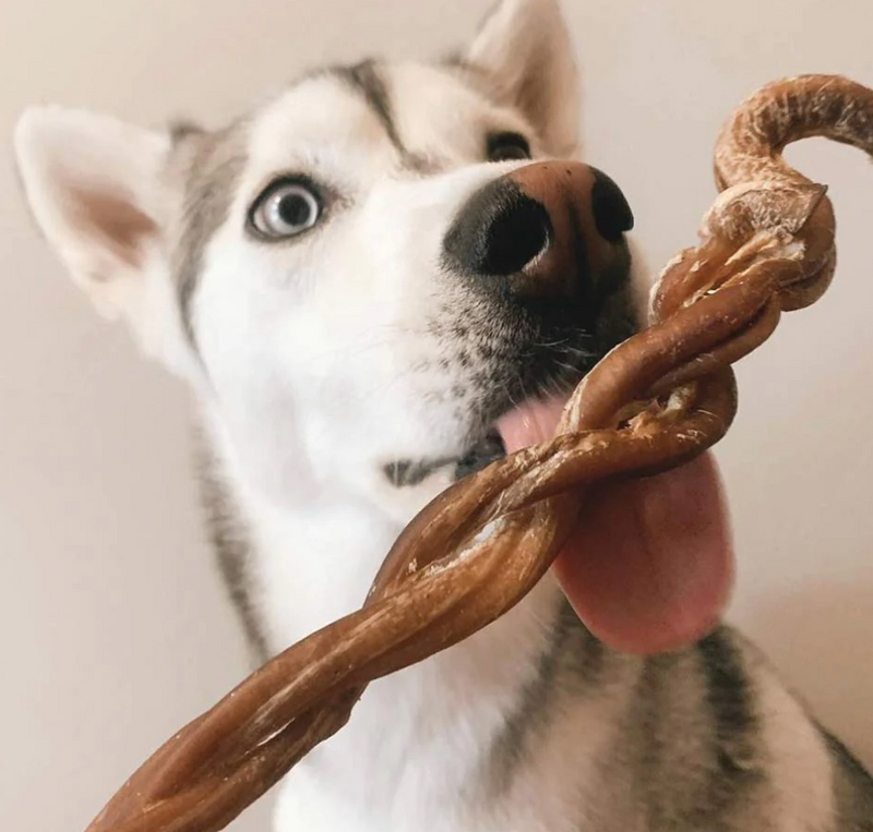 Load image into Gallery viewer, Only One Treats 8-11&quot; Braided Lamb Pizzle Stick
