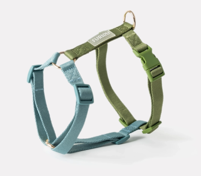 Load image into Gallery viewer, Furlou Strap Harness Blue &amp; Green
