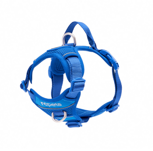 RC Momentum Harness Sapphire