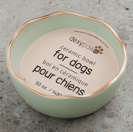 Dexypaws Dog Ceramic Bowl Sage Green 8