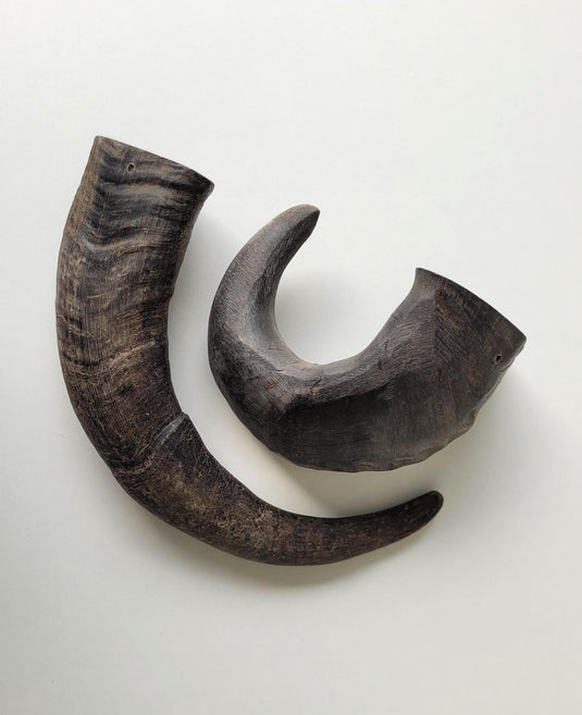 Open Range Water Buffalo Horn Small