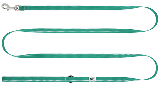 RC Petite Primary Leash 6'