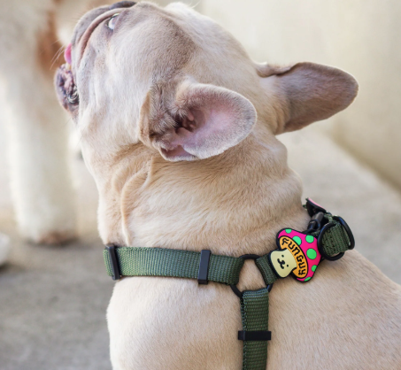 Jiby Dog Charm Fun Guy