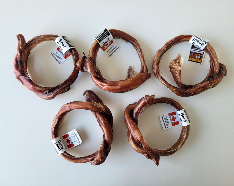 Load image into Gallery viewer, Puppy Love Canadian Beef Ring 5-6''
