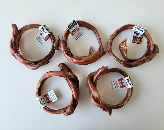 Puppy Love Canadian Beef Ring 5-6''