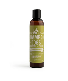 Black Sheep Organics Lemongrass & Mint Organic Shampoo