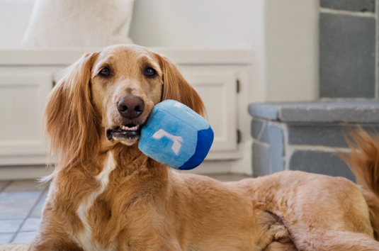 PLAY Paw-nukkah Dreidel