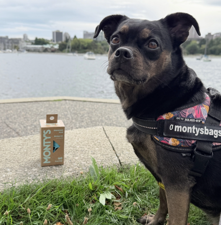 Load image into Gallery viewer, Monty's Compostable Corn Starch Small Poop Bags
