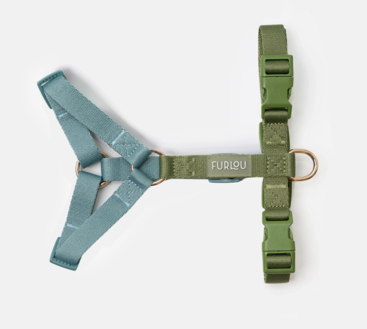 Load image into Gallery viewer, Furlou Strap Harness Blue &amp; Green
