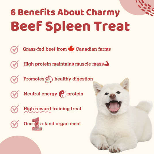 Charmy Pet Dog & Cat Treat Beef Spleen 80g