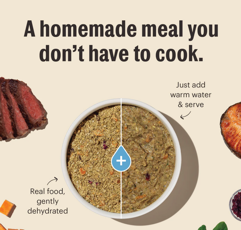 Load image into Gallery viewer, Honest Kitchen Gourmet Grains Dehydrated Beef &amp; Salmon 10lb
