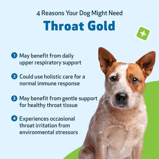 Pet Wellbeing Throat Gold - Discover Dogs