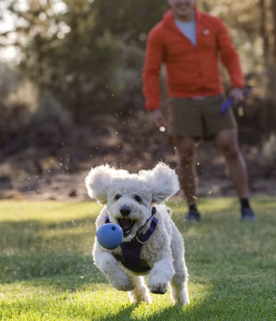 Load image into Gallery viewer, Ruffwear Huckama Throw Toy
