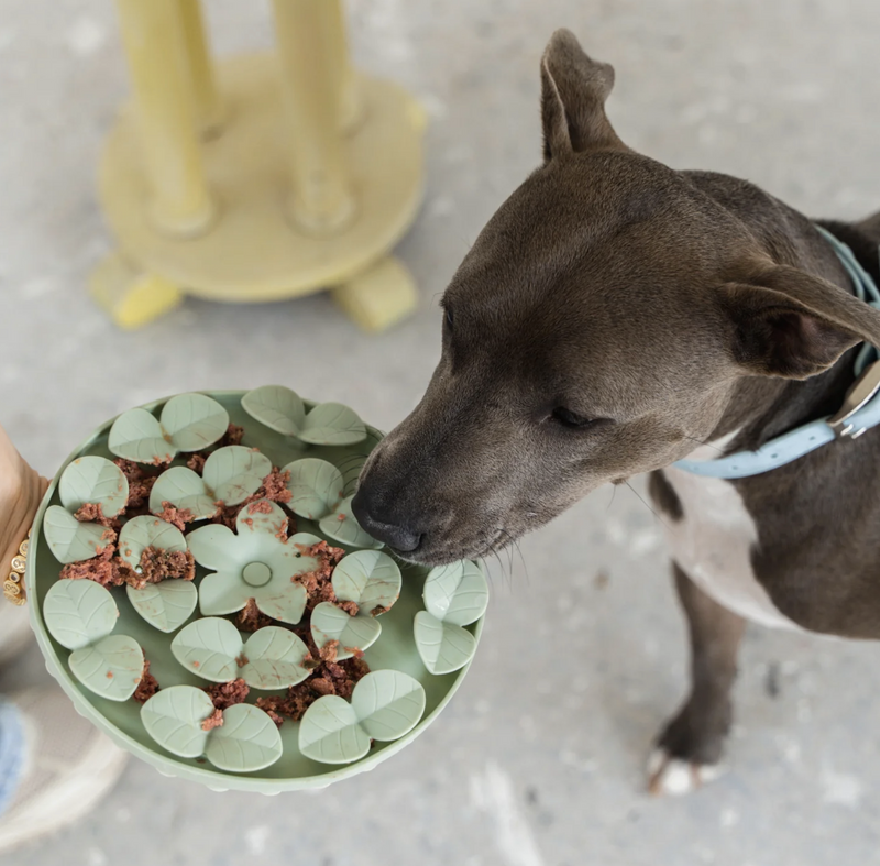 Load image into Gallery viewer, DexyPaws Silicone Snuffle Mat Sage Green

