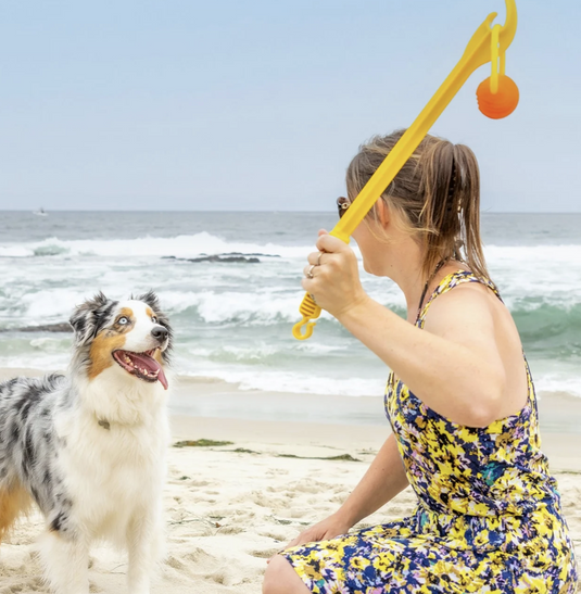 Project Hive Zoomer Launcher & Looped Ball Large Orange