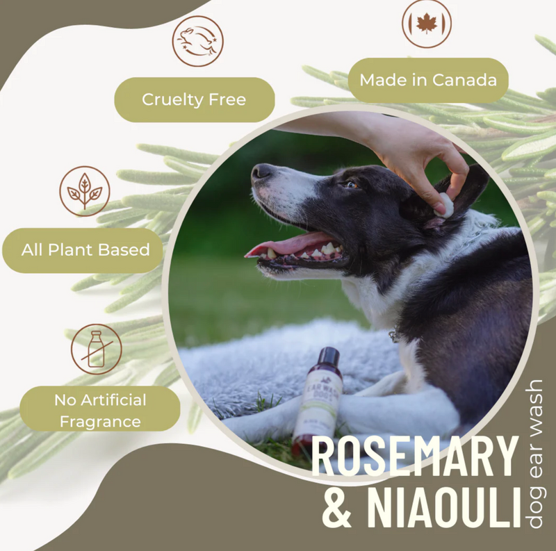 Load image into Gallery viewer, Black Sheep Organics - Rosemary &amp; Niaouli Organic Ear Wash 4oz
