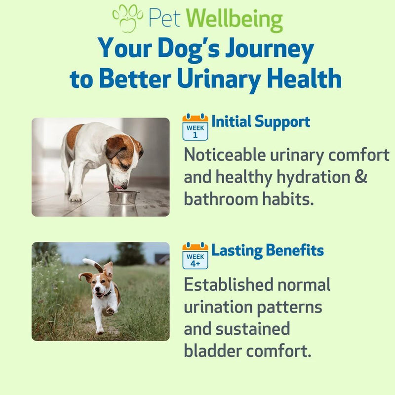 Load image into Gallery viewer, Pet Wellbeing Urinary Gold
